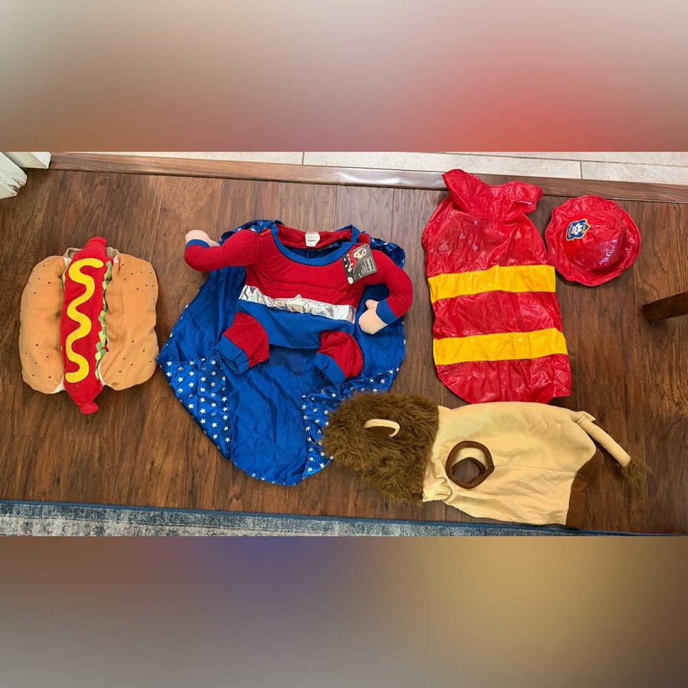 Dog Costumes: super hero, firefighter, lion, hotdog, and a prisoner.